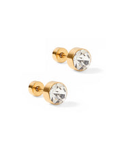 Load image into Gallery viewer, Linny Co. Screwback- Juliet Studs